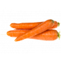 Carottes 12kg