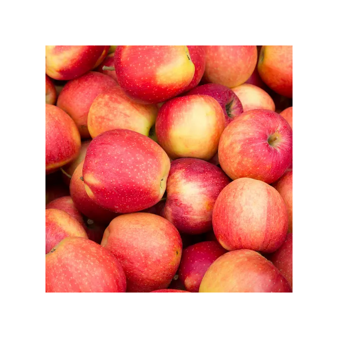 Pommes Braeburn