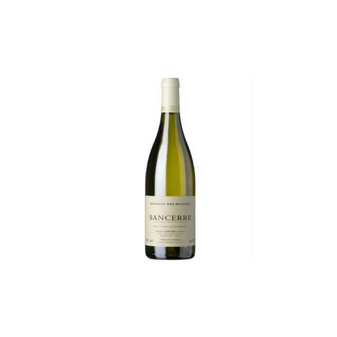 SANCERRE BLANC 2020 DOMAINE DES BROSSES