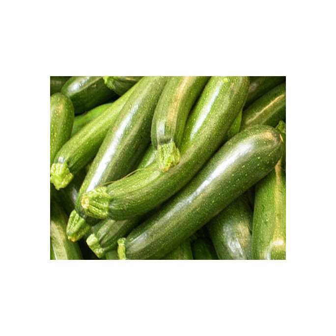 Courgettes 10kg