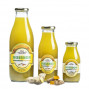 Boisson au Gingembre-Curcuma BIO 25cl