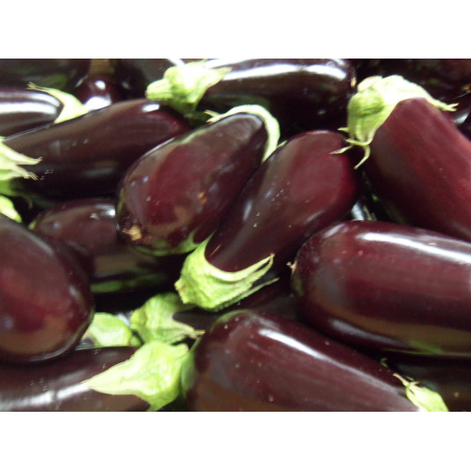 Aubergines 3kg