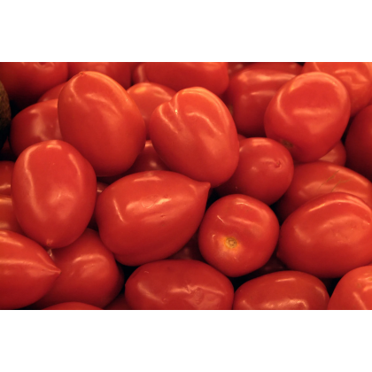 Tomates Romana