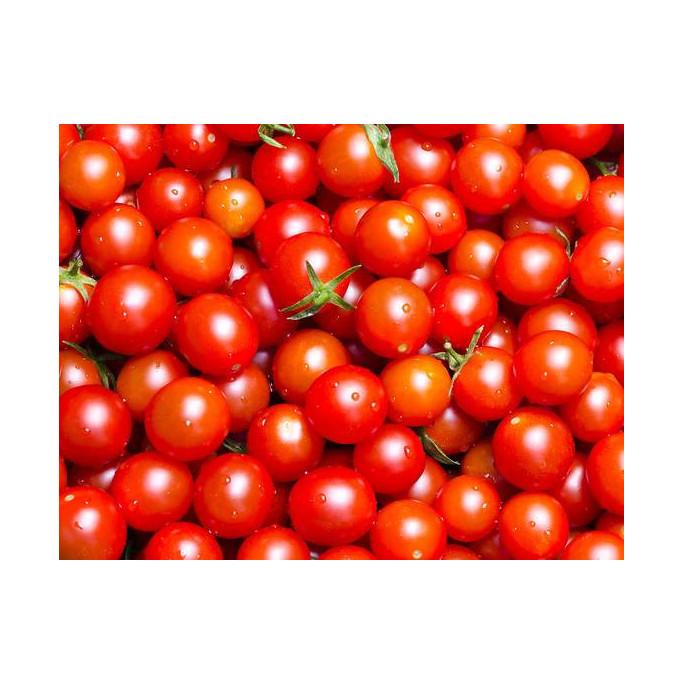 Tomates cerise