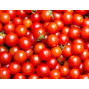 Tomates cerise