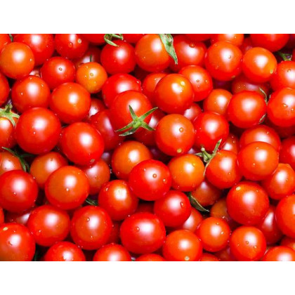 Tomates cerise