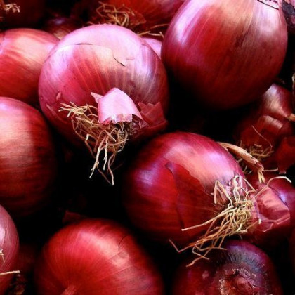 Oignon rouge 5kg