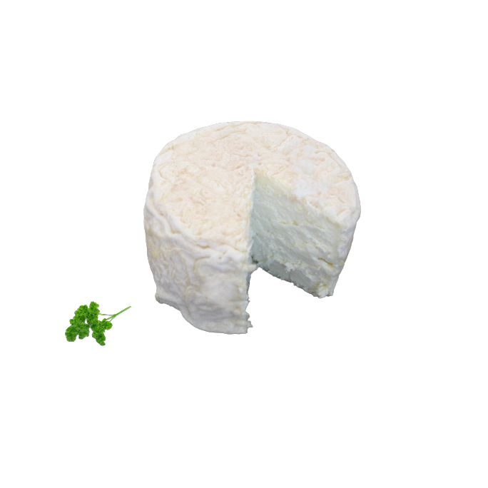 Crottin chèvre frais