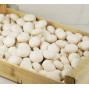 Champignon de Paris blanc 2kg5