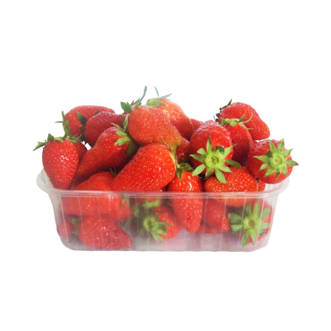 Fraises Charlottes 500g