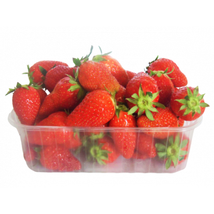 Fraises Charlottes 500g