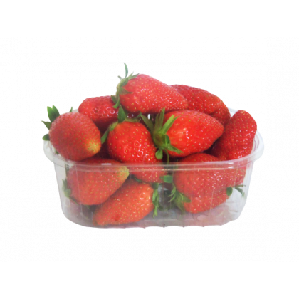 Fraises Charlottes 250g