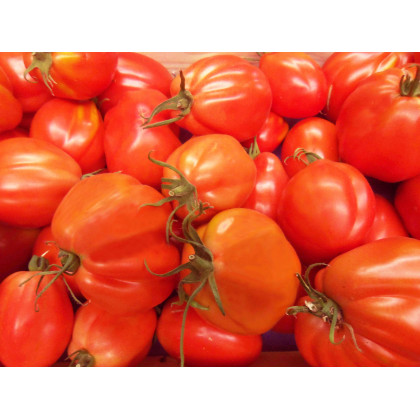 Tomates anciennes