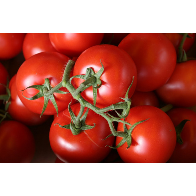 Tomates grappes