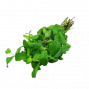 Botte de menthe